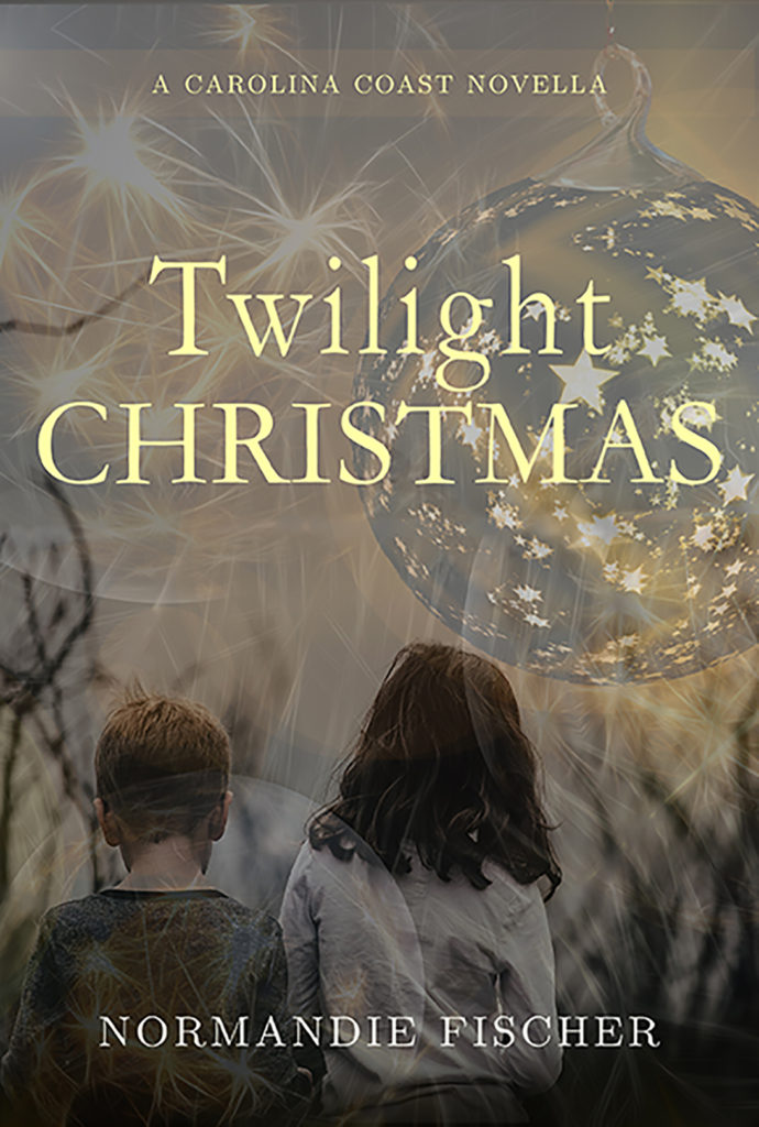 twilight-christmas-light-d